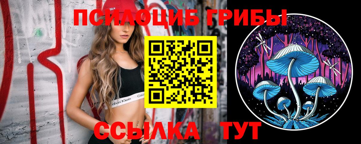 Липецк  Псилоцибиновые грибы ЛСД  Вход с VPN 