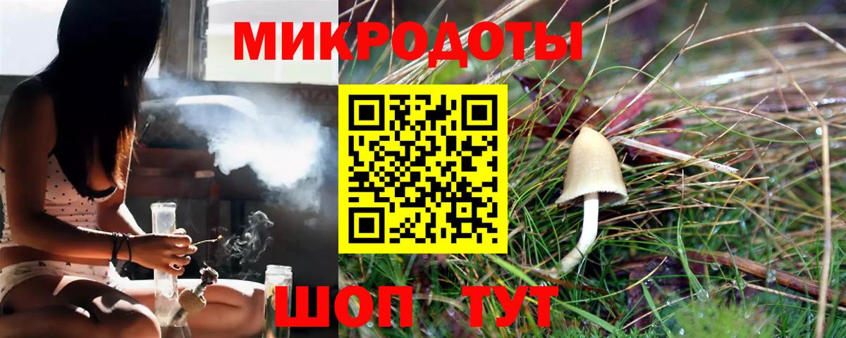 Галлюциногенные грибы Cubensis Липецк